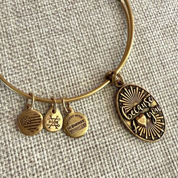 Alex and Ani Because I ♥ You Gold or Brass Expandable Charm Bangle 2016 Heartfel - Picture 3 of 9